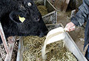 ペット・家畜の飼料/敷料